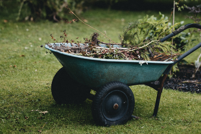 11 Ways to Prepare Your Garden for Spring